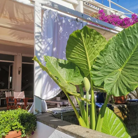 Nyaraló Casa De La Luna Nettuno