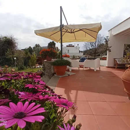 Casa De La Luna Nettuno