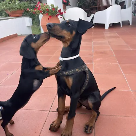 Casa De La Luna * Nettuno