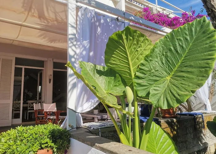 Dom wakacyjny Casa De La Luna Nettuno