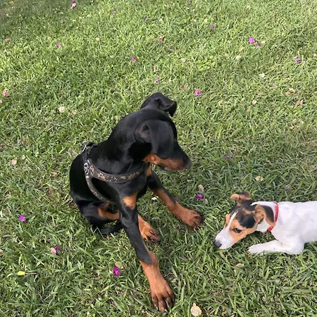 Casa De La Luna Ferienhaus